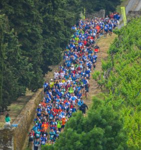 tout angers bouge 2022 photos sebastien aubinaud-100